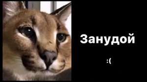 ТЫ НАХОДИШЬСЯ С: Грустные Лица Шлёпа Мем