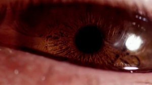 Футаж карого глаза [Eyes # 1]