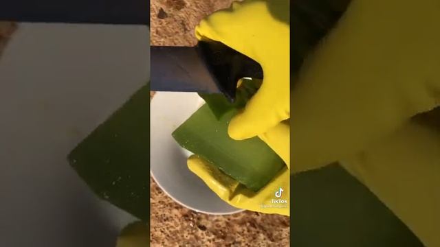 alow vera смотреть онлайн