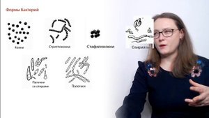 Вирусы и бактерии