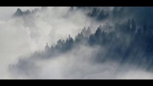 вали из моей квартиры часть 3 и 4