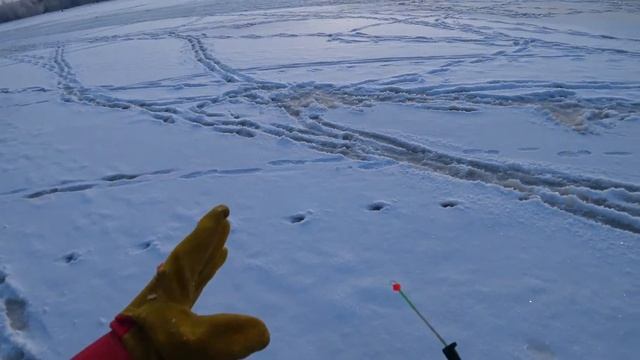 Открытие сезона подледной рыбалки. Зимняя рыбалка на жерлицы. смотреть онлайн
