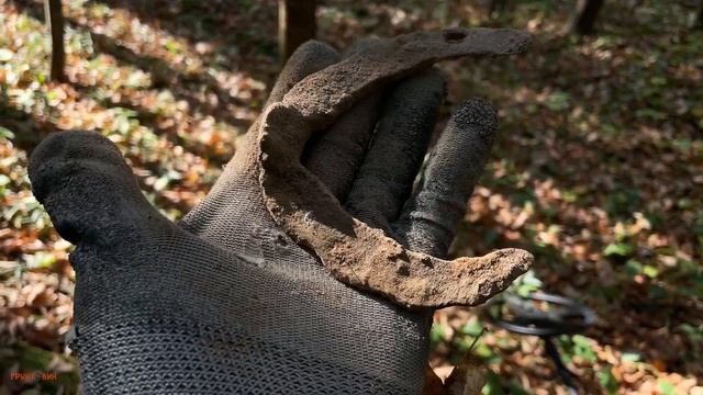 Нашел лесную дорогу, место очень перспективное