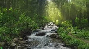 Восстанавливает нервную систему 🌿 Музыка для снятия стресса!...