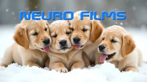 Хобби животных