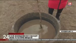 Применение гидрогеля Влагосорб-М при закладке садов в Крымских новостях!