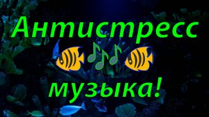 🐠 САМАЯ КРАСИВАЯ РАССЛАБЛЯЮЩАЯ МУЗЫКА ДЛЯ СНА! 🎵 ЗАГАДОЧНЫЙ АКВАМИР И АНТИСТРЕСС МУЗЫКА ДЛЯ ДУШИ