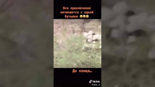 Приключения начинаются именно так🤣