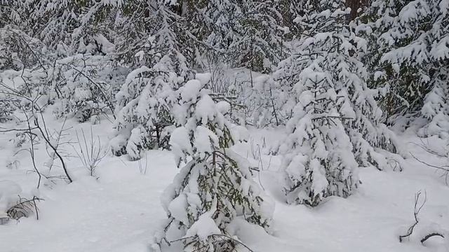 Ой, снег, снежок, белая метелица.