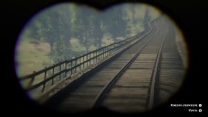 Сизый голубь, Полосатохвостый голубь, на железнодорожном мосту, Flatneck station