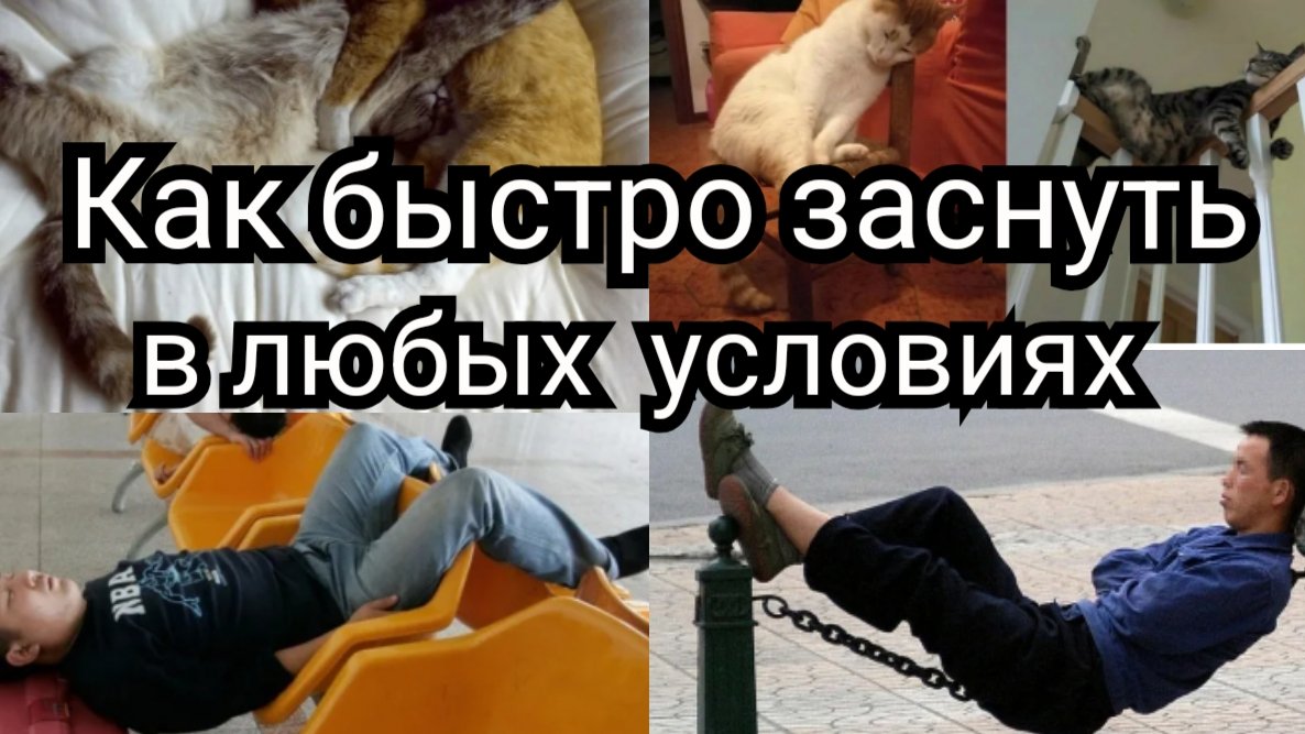 Как заснуть  когда угодно и в любых условиях
