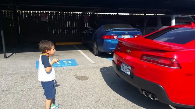 CAMARO Epic tooth pull Latino version смотреть онлайн