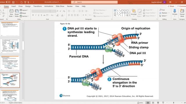 the molecular basis of inheritance