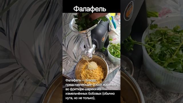 фалафель