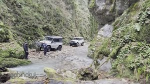 Мальчики на природе