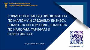 СОВМЕСТНОГО ЗАСЕДАНИЯ КОМИТЕТА ПО МСБ; КОМИТЕТА ПО ТОРГОВЛЕ; КОМИТЕТА ПО НАЛОГАМ от 10.12.2024г.