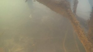 Астрахань. Подводная охота на Ахтубе 2023. День первый.