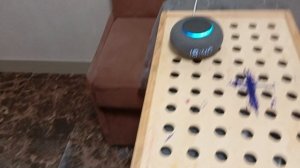 Проверка техники за месяц (14)