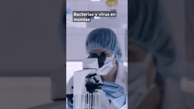 🧬🧬 ¿para qué sirve la METAGENÓMICA? MOMIAS y VIRUS PARTE 1🧬🧬#microbiología #biologiamolecular смотреть онлайн