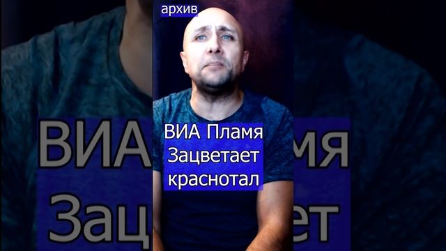 ВИА Пламя - Зацветает краснотал Клондайс кавер из архива