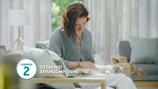 Видимото здраве започва с Purina One BIFENSIS® смотреть онлайн