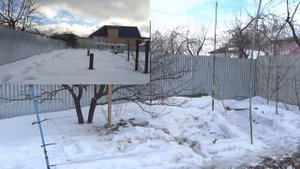 Ловля певчих птиц И СНОВА ЛОВИМ ЩЕГЛА