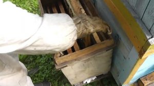 На пасеке Цебро 19 июля