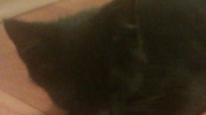 здравствуй добрый друг