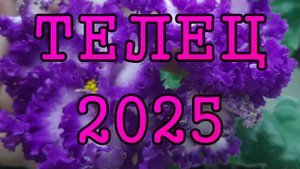 ТЕЛЕЦ таро прогноз на 2025 год по 12 домам гороскопа.