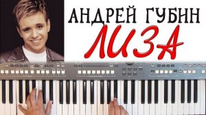 АНДРЕЙ ГУБИН ЛИЗА YAMAHA DJX COVER