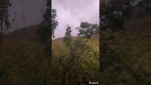 Поездка на Сакский каньон