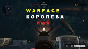 Warface - РОЙ босс КОРОЛЕВА РОЯ ПТС от 23.11.2020