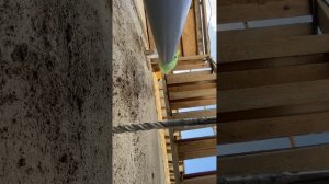 Dewalt 6в1 набор с валберис такое вам не покажут  #инструментыдлябизнеса #наборинструментов #dewalt