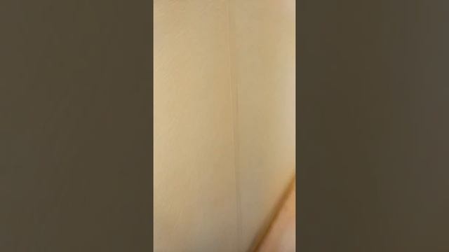 Суши шоп(2) смотреть онлайн