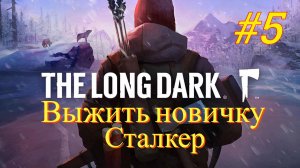 The Long Dark - Выжить новичку #5