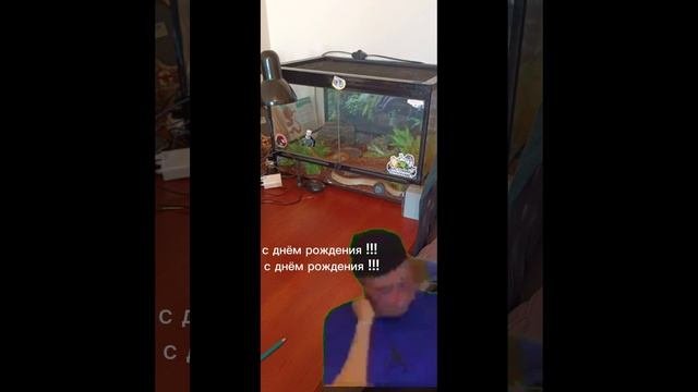 Рил: дни рождения питомцев