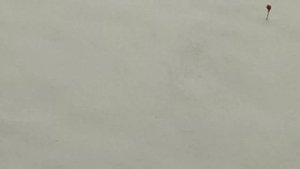 Прогулка в Подгоровский лес