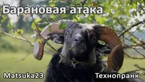 Matsuka23  Барановая атака  +Кущ