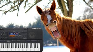 РЫЖИЙ КОНЬ БОЯРСКИЙ МИХАИЛ { YAMAHA DJX } PSR SX900