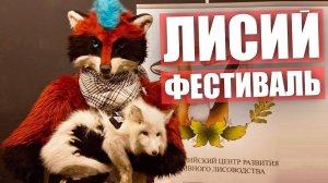 ЛИСИЙ ФЕСТИВАЛЬ.  Тискаем пушистиков на FoxFamilyFest