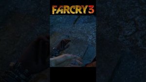 Концовка за друзей  Far Cry 3