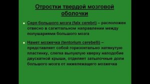 Оболочки головного мозга. Твердая оболочка. Отростки