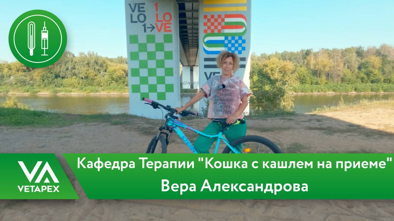 Кафедра Терапии "Кошка с кашлем на приеме"