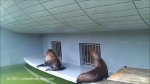 Ты отказала мне два раза! Вот какая ты зараза!