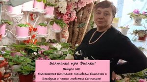 Болталка про Фиалки! Выпуск 18: Спонтанная Болталка! Поливаем Фиалочки и Беседуем о наших фиалочка!