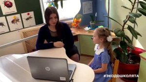 Исследовательский проект «Эко домик для полезных насекомых»