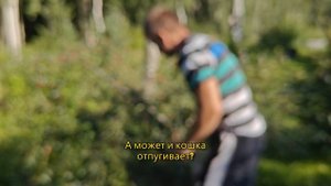 как собрать вишню ?