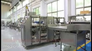 Технология и оборудование для производства растительного белка (протеина). Линия производства белка