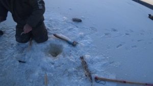 День второй. Проверяем самоловки. Удивительный улов