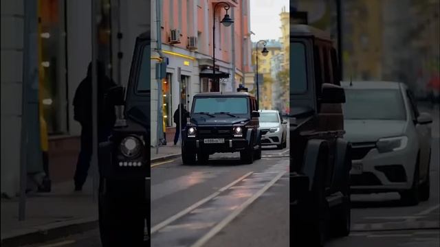 роман крыса